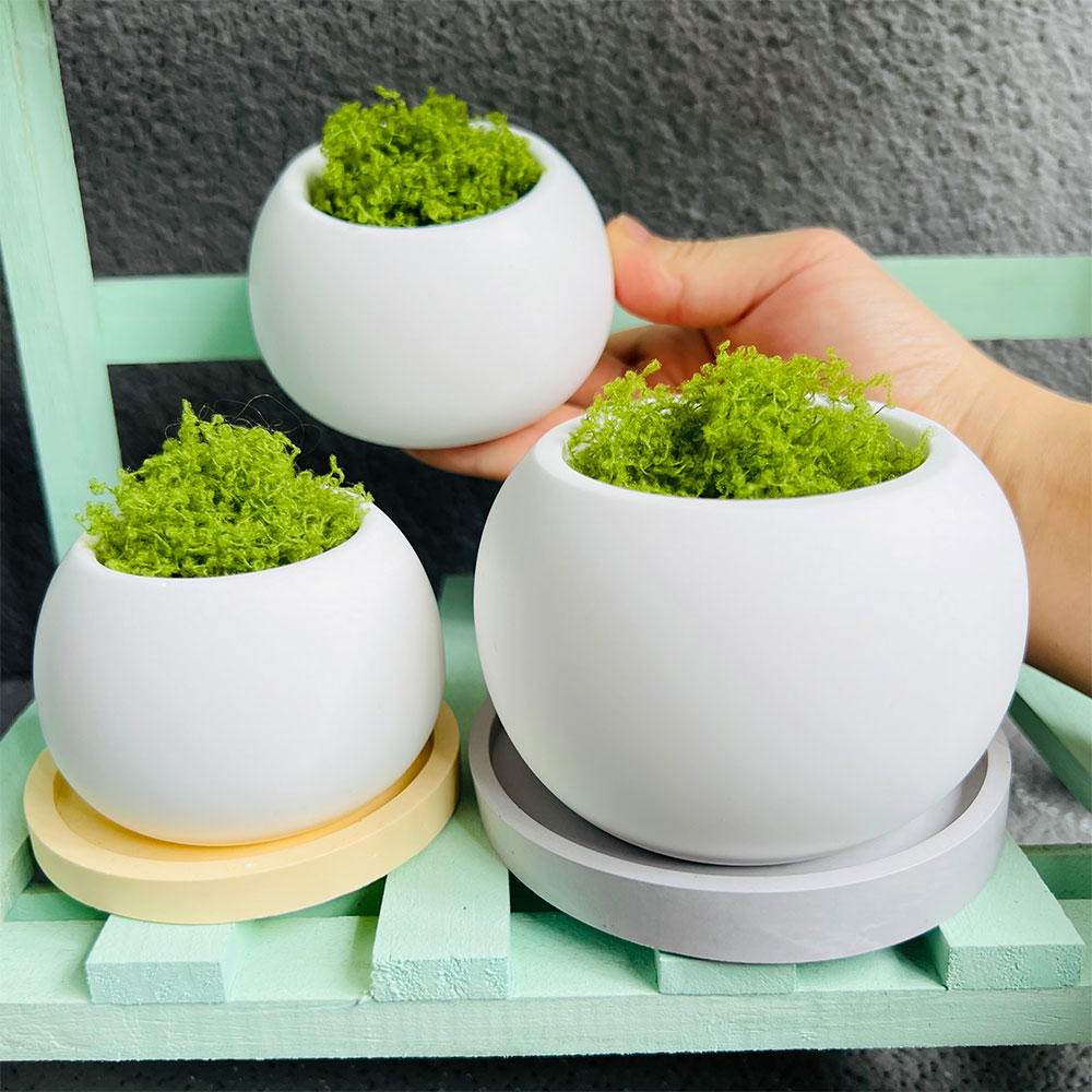 Molde esférico de silicone par - Potsticker Mold avaliação e preço